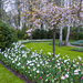 Netherlands_Parks_Spring_Flowering_trees_Hyacinths_546120_2880x18