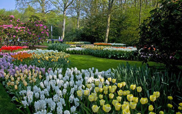 Netherlands_Parks_Tulips_Hyacinths_Keukenhof_547688_2560x1600
