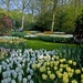Netherlands_Parks_Tulips_Hyacinths_Keukenhof_547688_2560x1700