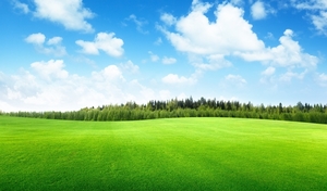 Beautiful-Natural-Clouds-Trees-Grass-Field-Hd-Photos