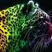 Digital-and-Colorful-tiger-art-image