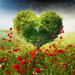 green_love_heart_tree_poppies-HD