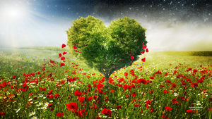 green_love_heart_tree_poppies-HD
