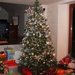 De traditionele kerstboom