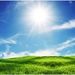 bright-sun-green-field-blue-sky-wallpaper