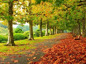 Autumn_park_foliage_benches_trees-2016_Scenery_HD_Wallpaper_1920x