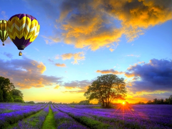 landscapes-fields-sunlight-hot-air-balloons-1024x768-wallpaper