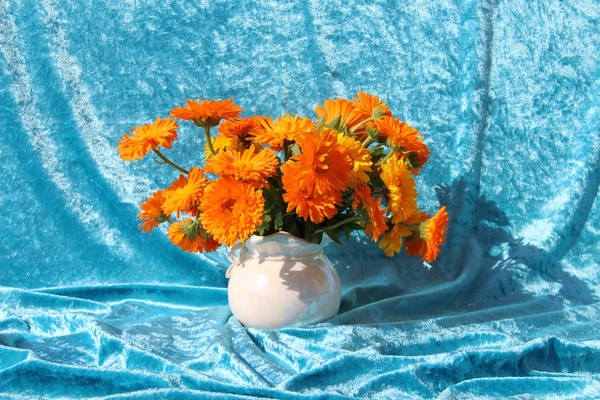 bouquet-2481941_960_720