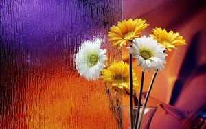 colorful-flower-with-rain-effect