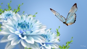 Free-Fllower-Butterfly-Wallpaper-1080