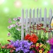 Garden-Beautiful-Flowers-Image1