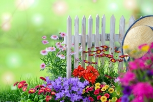 Garden-Beautiful-Flowers-Image1