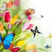 Spring-Flowers-Pictures