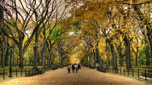 park-central-autumn-wallpapers-wallpaper-image