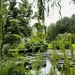 Park-pond-trees-branches-landscape-4k-3840x2160