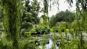 Park-pond-trees-branches-landscape-4k-3840x2160