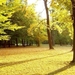 preview_autumn_park_1680_x_1050_widescreen