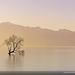 Alone-National_Geographic_Wallpaper_1440x900