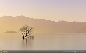 Alone-National_Geographic_Wallpaper_1440x900