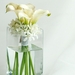 3341112-calla-lilies-flowers-white-flower-vase-water