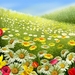 flower-garden-wallpaper