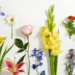 fresh-birth-flowers-for-each-month-intended-for-birthday-flowersm