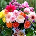 mix-flowers-bouquet-1024x576