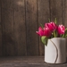 rozovye-fresh-wood-pink-tiulpany-tulips-spring-flowers-tsv-5