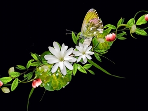 ws_Butterfly_&_White_Flowers_1024x768