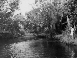 1952: de Mpese nabij Kimpese
