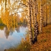 autumn-1040606_960_720