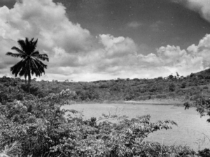 1953: landschap