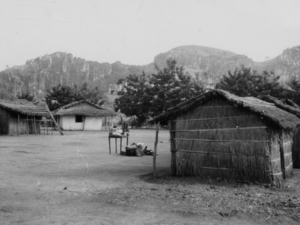 1953: dorp in de beneden Kongo