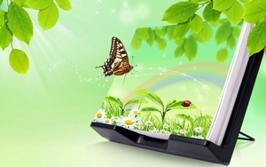 143192_butterfly-nature-3d-hd-wallpapers_2560x1440_h