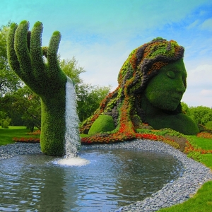 amazing-fountain-topiary-s1296x1296-438922