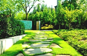 the-best-home-yard-landscape-design-modern-home-landscape-in-aust