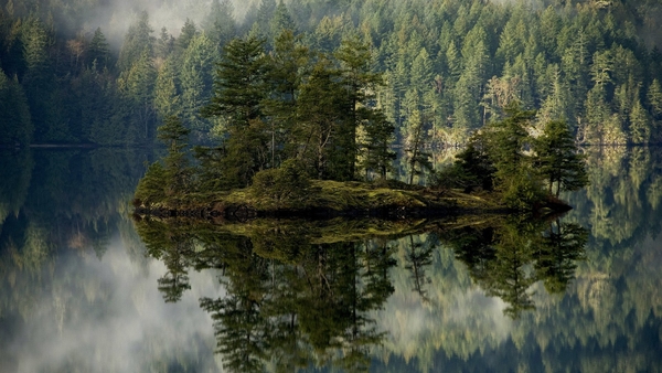 island-with-pines-in-the-lake