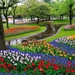 169779_park_drzewa_rzeczka_tulipany