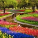 217068_beautiful-nature-flowers-garden-wallpaper_1920x1200_h