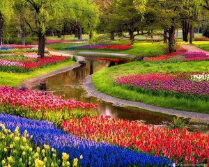 217068_beautiful-nature-flowers-garden-wallpaper_1920x1200_h