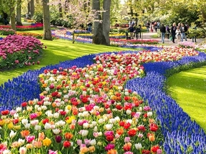 beautiful-flowers-garden-worlds-most-beautiful-flower-garden-beau