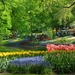 Colorful-Keukenhof-Gardens