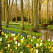 Keukenhof Gardens, Netherlands(1)