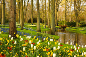 Keukenhof Gardens, Netherlands(1)