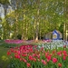 Keukenhof-Gardens-Belanda-Tempat-Terindah-di-Dunia