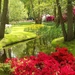 keukenhof-worlds-largest-flower-garden-travel-around-the-world_l_