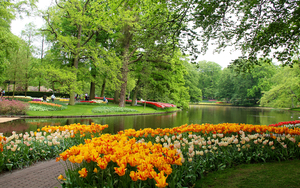 Netherlands_Parks_Pond_494541_2560x1600