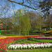 Netherlands_Parks_Pond_Hyacinths_Tulips_Keukenhof_522380_1334x750