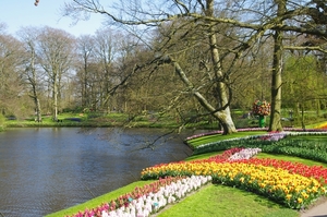 Netherlands_Parks_Pond_Keukenhof_Trees_525092_2560x1696