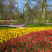 Netherlands_Parks_Pond_Tulips_Keukenhof_Trees_526996_3840x2160
